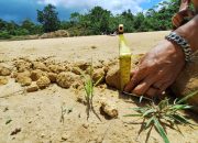 Kejari Kendari Didesak Periksa Eks Kadis PU Kota Kendari Terkait Proyek Peningkatan Jalan Batas Kota-Tabanggele