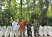 Bulog Unaaha Pecahkan Rekor! Serap Gabah Terbanyak se-Sultra