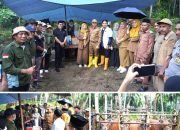 Pemkab Konawe Gencarkan Pemeriksaan Ternak, Bupati Pantau Langsung di Soropia