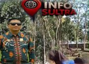 Febri Malaka Pimpin Langsung Aksi Bersih-Bersih di Lingkup Dishub Konawe