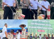 Implementasi Asta Cita Presiden: Konawe Tanam Jagung, Bangun Ketahanan Pangan