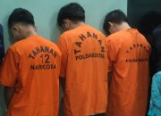 Polda Sultra Bekuk Jaringan Fredy Pratama, 3,2 Kg Sabu Disita