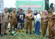Bupati Konawe H. Yusran Akbar Hadiri Panen Raya Semangka di Kecamatan Padangguni