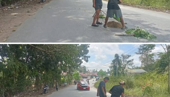 Bentuk Protes Nyata, Pemuda Desa Tambal Sendiri Jalan Rusak Agar Pemudik Aman Sampai Kampung Halaman