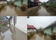 Diterjang Hujan 24 Jam, Puluhan Rumah di Desa Ameroro Terendam Banjir; Warga Tagih Janji Pemerintah