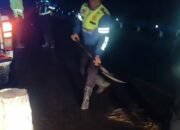 Cegah Kecelakaan, Satlantas polres Konawe Timbun Jalan Licin Akibat Oli di Ameroro