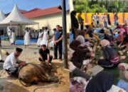 Aksi Peduli Idul Adha: Bid Dokkes Polda Sultra Bersama RS Bhayangkara Bagikan 187 Daging Kurban Kepada Masyarakat