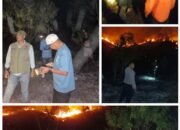 Respon Cepat Karhutla Watumohai, Polres Konawe dan Pemda Terjunkan Tim Padamkan Api